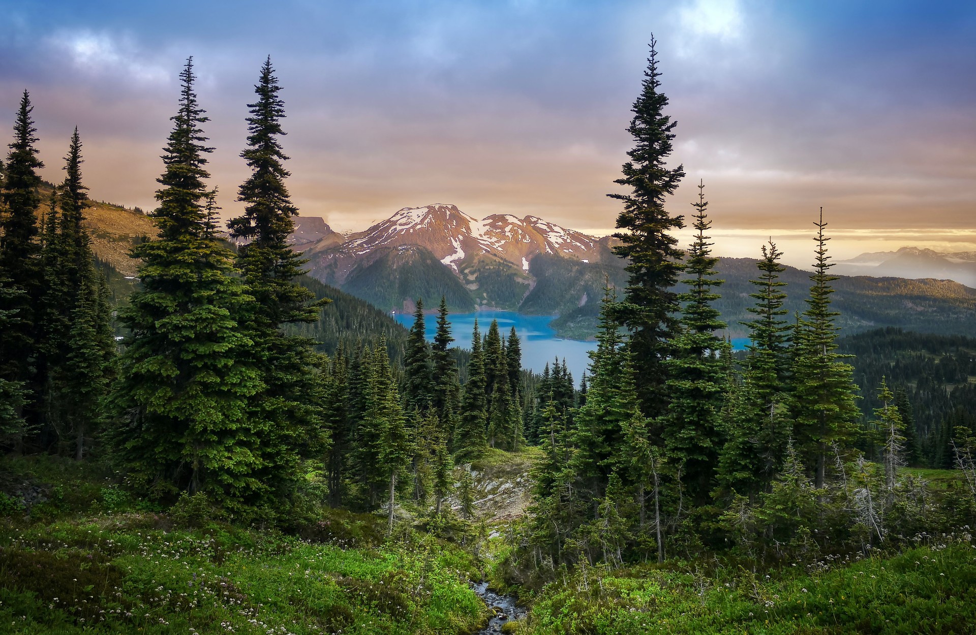 Glacial mountain Garibaldi lake with turquoise water in the middle of coniferous forest at sunset.